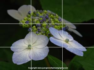 Composing by the Rule of Thirds Photography Guideline